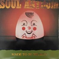 Soul Asylum (2) - Made To...