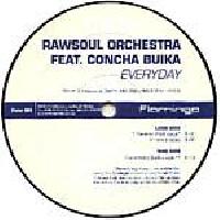 Rawsoul Orchestra Feat....