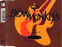 The Blow Monkeys Featuring...