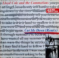 Lloyd Cole And The...