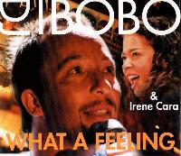 DJ Bobo & Irene Cara - What...
