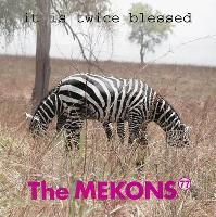 The Mekons 77* - It Is...