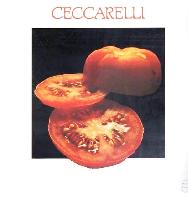Ceccarelli* - Ceccarelli