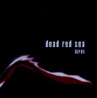 Dead Red Sea - Birds