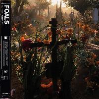 Foals - Everything Not...