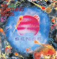 The Lightning Seeds* - Sense