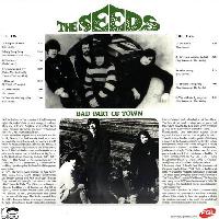 The Seeds & Sky Saxon - Bad...