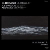 Bertrand Burgalat - La Nuit...